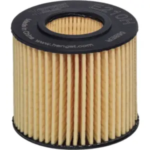 HENGST FILTER Öljynsuodatin HENGST FILTER E210H D228