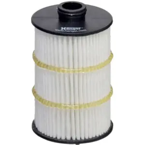 HENGST FILTER Öljynsuodatin HENGST FILTER E861H D413