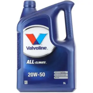 Moottoriöljy VALVOLINE 872789